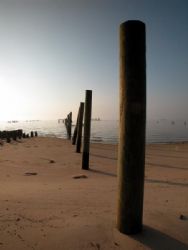 Mobile Bay, Alabama by Victoria Collins 